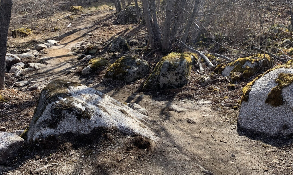 Boulders and dirt track on single track mountain bike trail