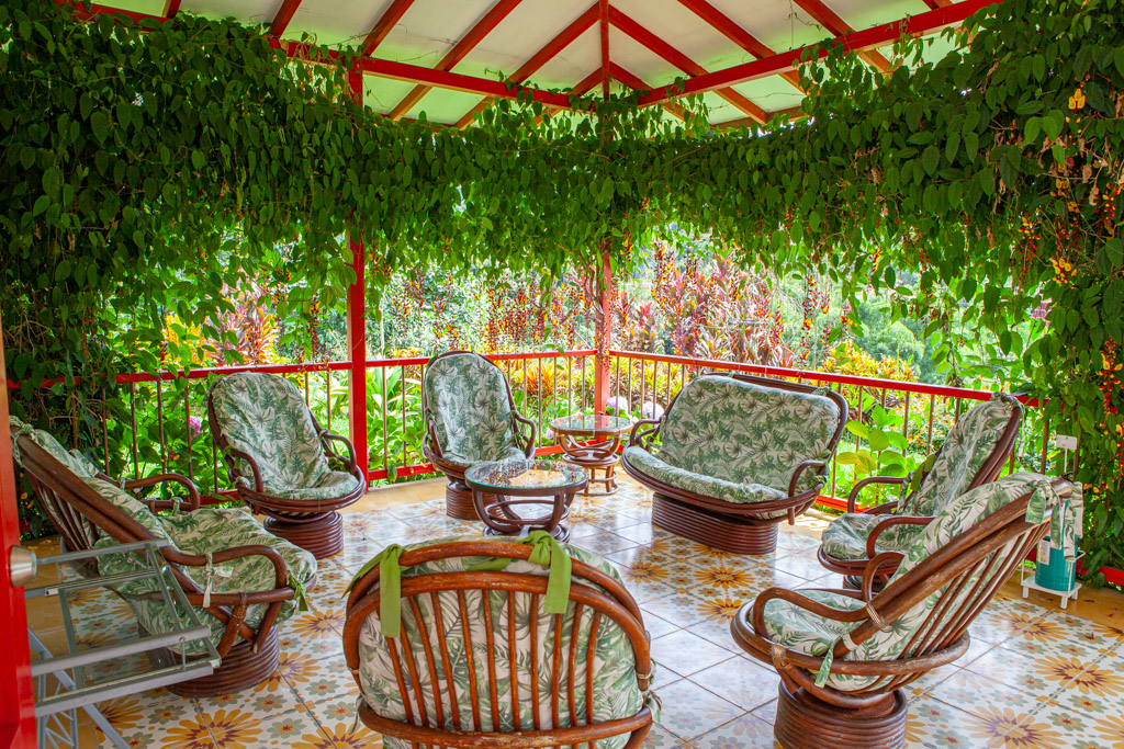 common sitting area a Colombian estate with seven chairs, a typical tiled floor and surrounded by greenery and flowers