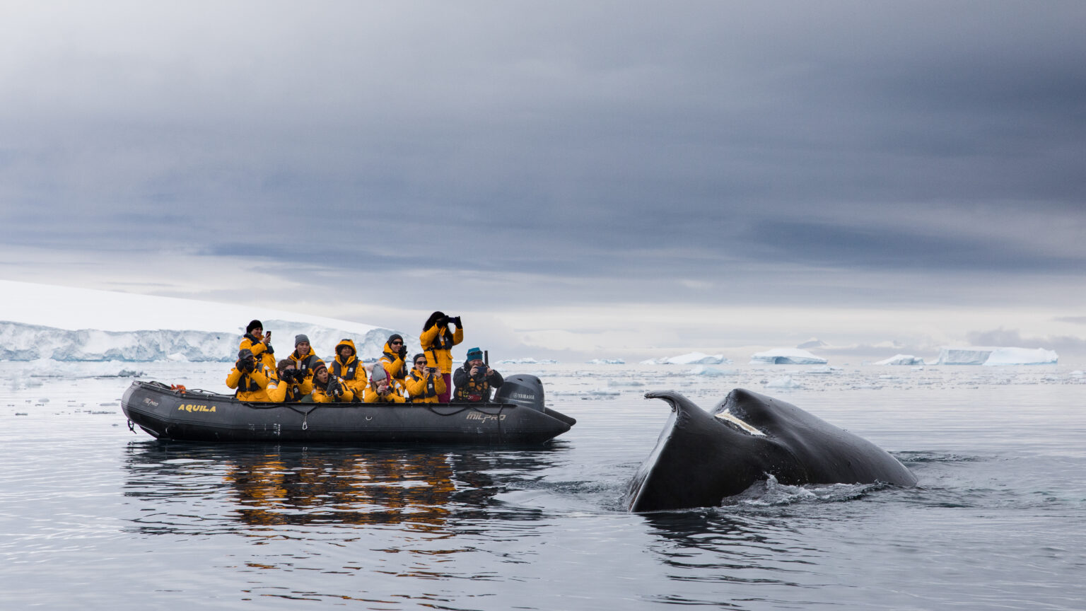 Photo: Quark Expeditions